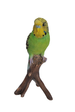 BUDGIE ON BRANCH
