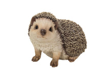 Load image into Gallery viewer, HEDGEHOG CRAWLING
