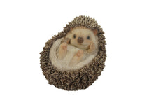 Load image into Gallery viewer, HEDGEHOG ON BACK
