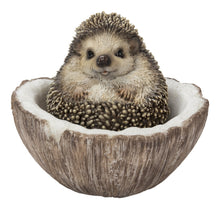 Load image into Gallery viewer, COCONUT HEDGEHOG
