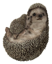 Load image into Gallery viewer, MOTHER &amp; BABY HEDGEHOGS ON BACK
