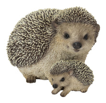 Load image into Gallery viewer, MOTHER &amp; BABY HEDGEHOGS
