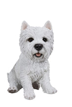 Load image into Gallery viewer, DOG-WHITE TERRIER SITTING
