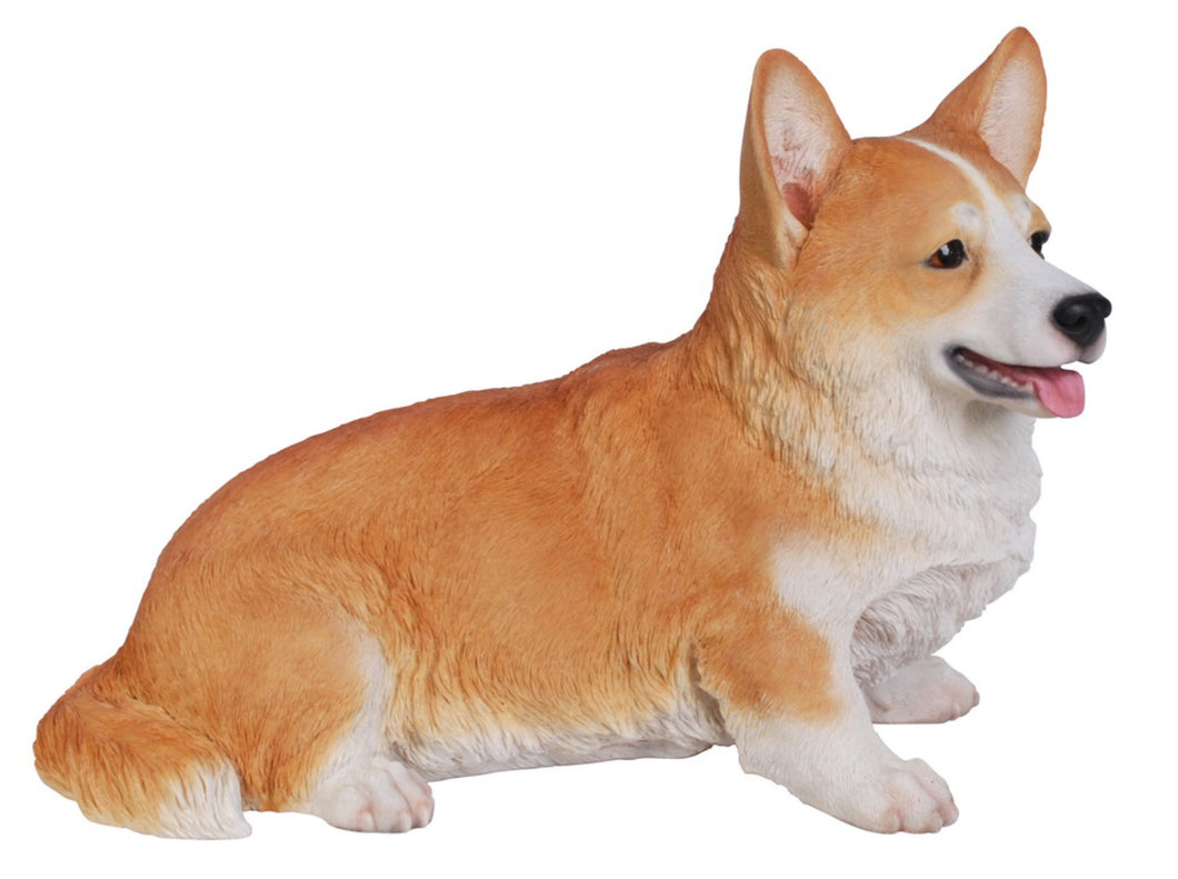 DOG-CORGI