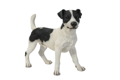 DOG-JACK RUSSELL STANDING