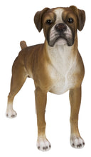 Load image into Gallery viewer, BOXER DOG STANDING
