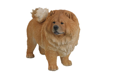 DOG-CHOW CHOW STANDING