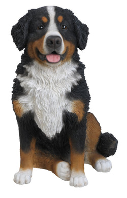 DOG-BERNESE MOUNTAIN DOG