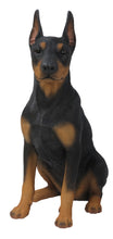 Load image into Gallery viewer, DOG-DOBERMAN PINSCHER SITTING
