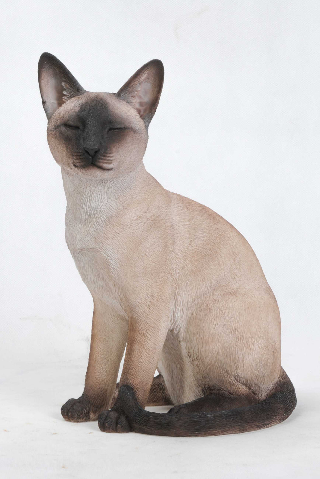 CAT-SIAMESE CAT SITTING