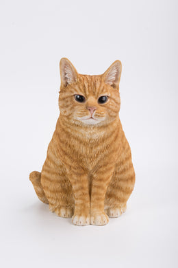 CAT SITTING - ORANGE TABBY