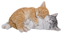 Load image into Gallery viewer, CAT-SLEEPING CATS - ORANGE &amp; GREY TABBIES
