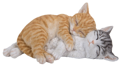 CAT-SLEEPING CATS - ORANGE & GREY TABBIES
