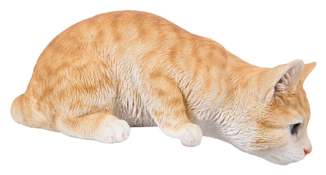 CAT LOOKING OVER LEDGE - ORANGE TABBY