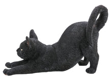 Load image into Gallery viewer, CAT STRETCHING - BLACK
