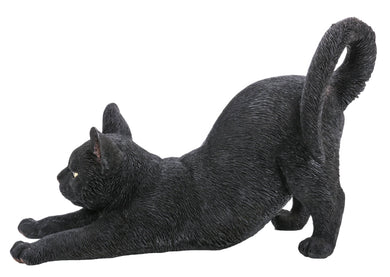 CAT STRETCHING - BLACK