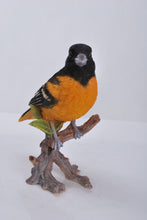 Load image into Gallery viewer, ORIOLE ON BRANCH
