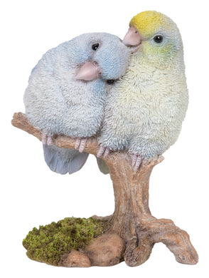 PACIFIC PARROT COUPLE ON BRANCH