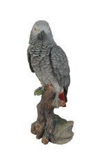 Load image into Gallery viewer, GREY GABON PARROT ON STUMP
