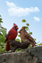 Load image into Gallery viewer, CARDINALS ON STUMP
