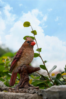 FEMALE CARDINAL PERCHED ON A STUMP