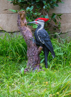 PILEATED WOODPECKER ON A TREE TRUNK