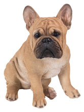 Load image into Gallery viewer, DOG-FRENCH BULLDOG SQUATTING
