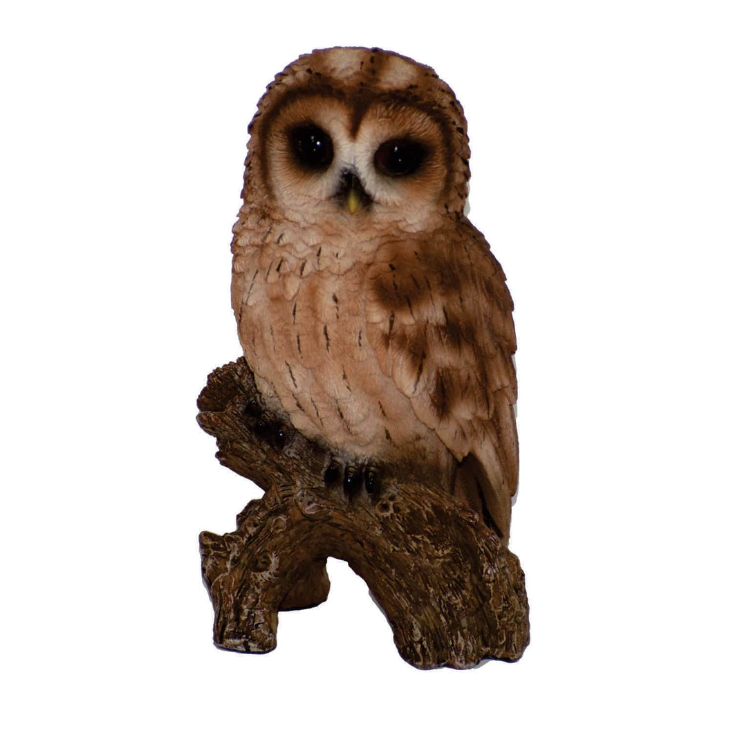 TAWNY OWL ON STUMP - SMALL