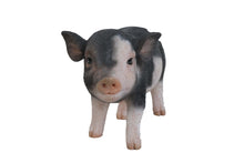 Load image into Gallery viewer, PIG - STANDING BABY PIG - DARK BROWN
