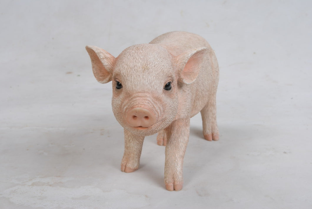 PIG - STANDING BABY PIG
