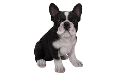 Load image into Gallery viewer, PET PALS - FRENCH BULLDOG PUPPY
