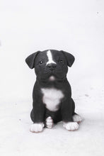 Load image into Gallery viewer, PET PALS - STAFFORDSHIRE PITBULL PUPPY
