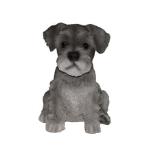 Load image into Gallery viewer, PET PALS - SCHNAUZER PUPPY
