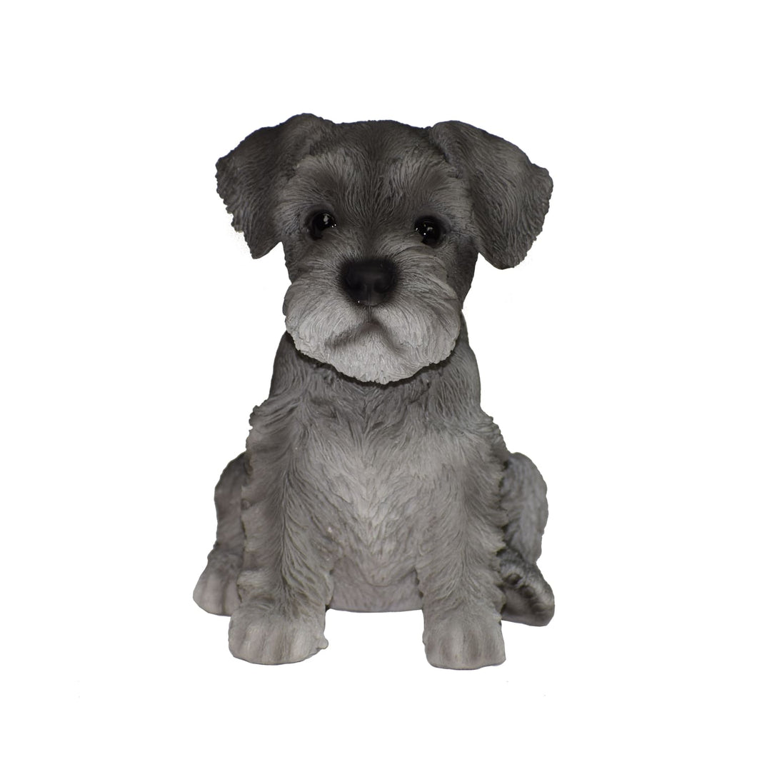 PET PALS - SCHNAUZER PUPPY