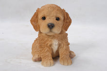 Load image into Gallery viewer, PET PALS - COCKAPOO PUPPY BROWN
