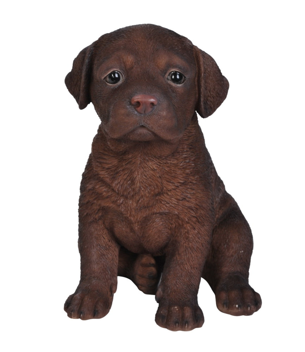 PET PALS - LABRADOR PUPPY - CHOCOLATE