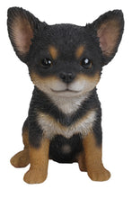 Load image into Gallery viewer, PET PALS - CHIHUAHUA - BLACK/BROWN PUPPY
