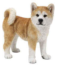 Load image into Gallery viewer, DOG-AKITA WALKING-LARGE
