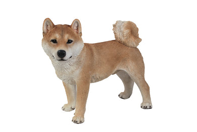 DOG-SHIBA INU STANDING