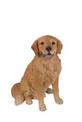 DOG-GOLDEN RETRIEVER SITTING