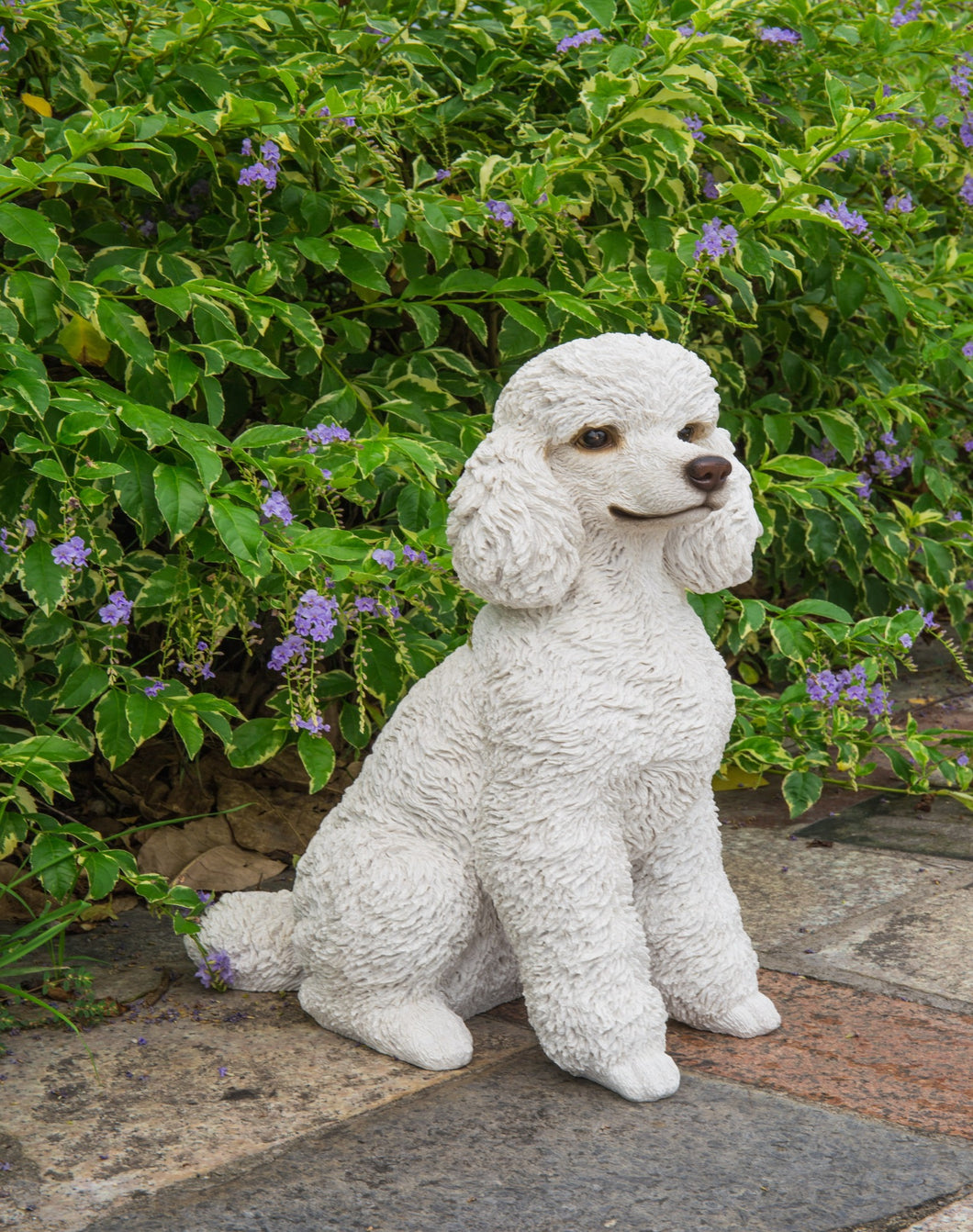 DOG-POODLE SITTING - WHITE