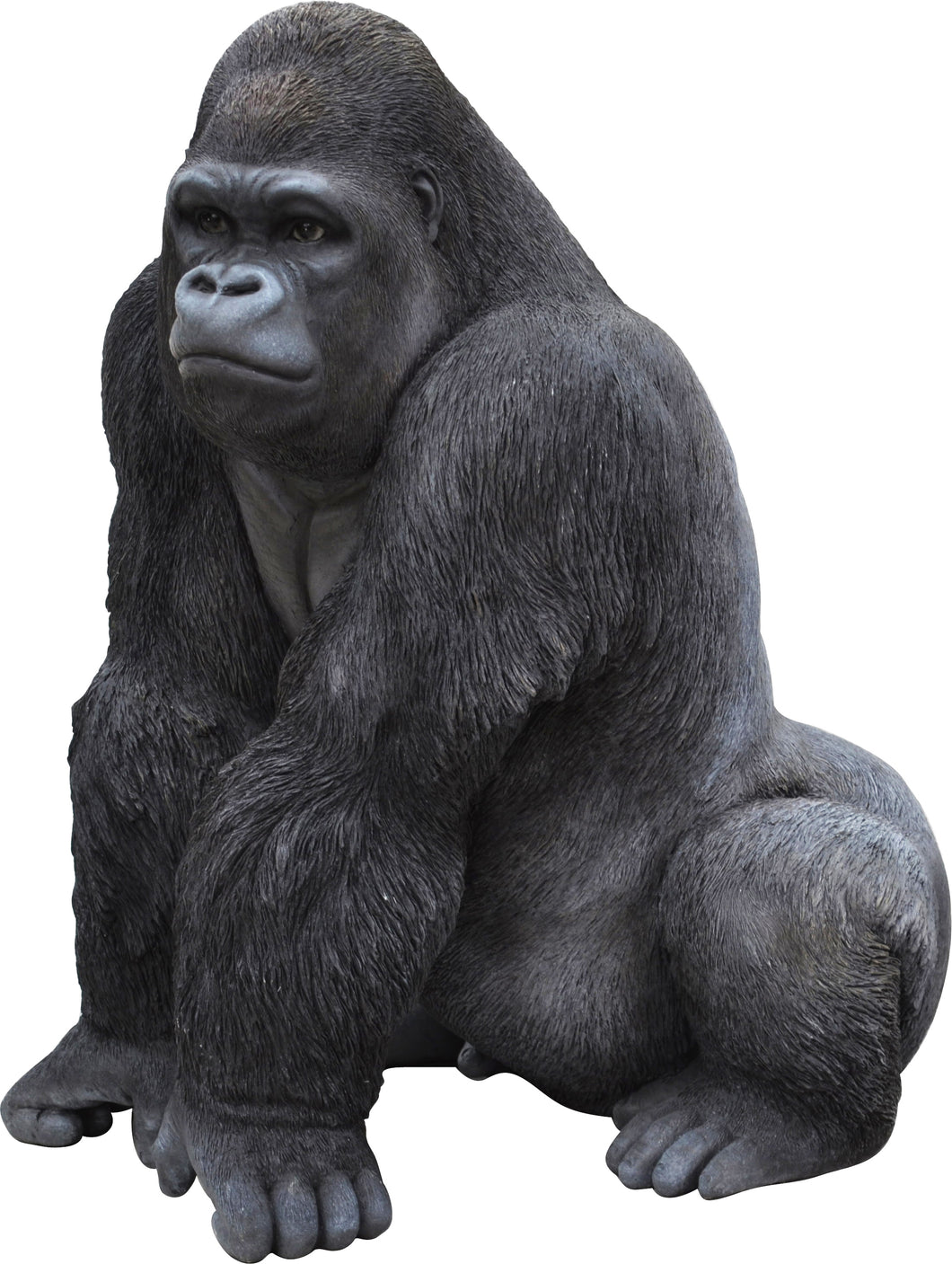 GORILLA