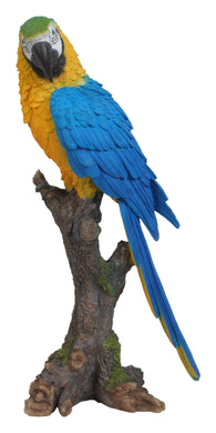 PARROT ON BRANCH - BLUE/YELLOW