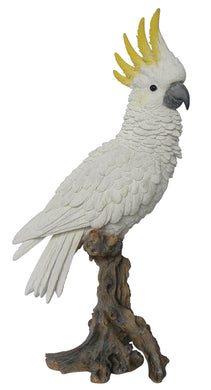 COCKATOO ON BRANCH