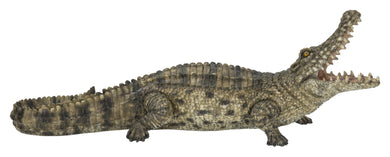 CROCODILE WITH MOUTH OPEN UP
