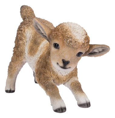 LAMB PLAYING - BROWN/WHITE-SMALL