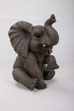 Load image into Gallery viewer, ELEPHANT BABY SITTING W/TRUNK UP (HI-LINE EXCLUSIVE)
