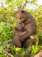 Load image into Gallery viewer, MOTHER&amp;BABY BROWN BEAR
