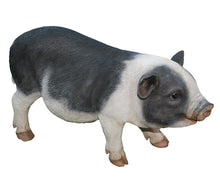 Load image into Gallery viewer, POT BELLY PIG STANDING
