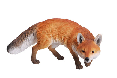 FOX PROWLING